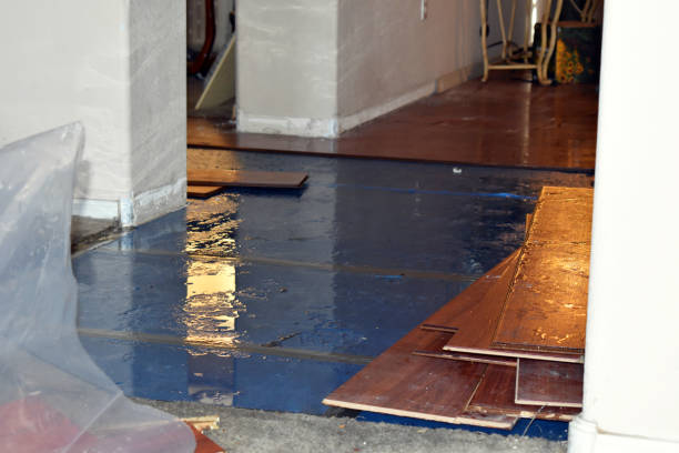 Professional Basement Flood Cleanup technician working in Riverside, AL